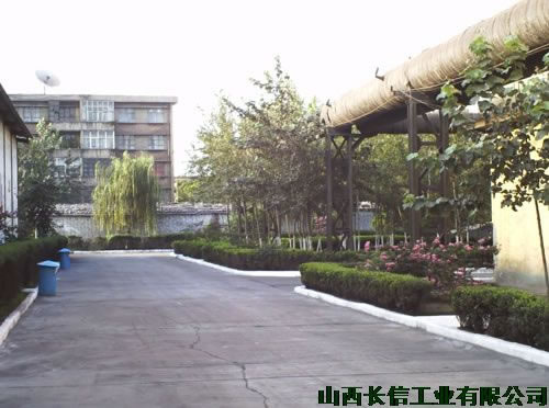 随处可见的绿化带